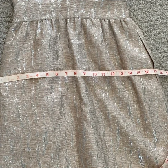 Vintage hunter Dixon brocade lined dress in silver & blush size 2 - Picture 10 of 14
